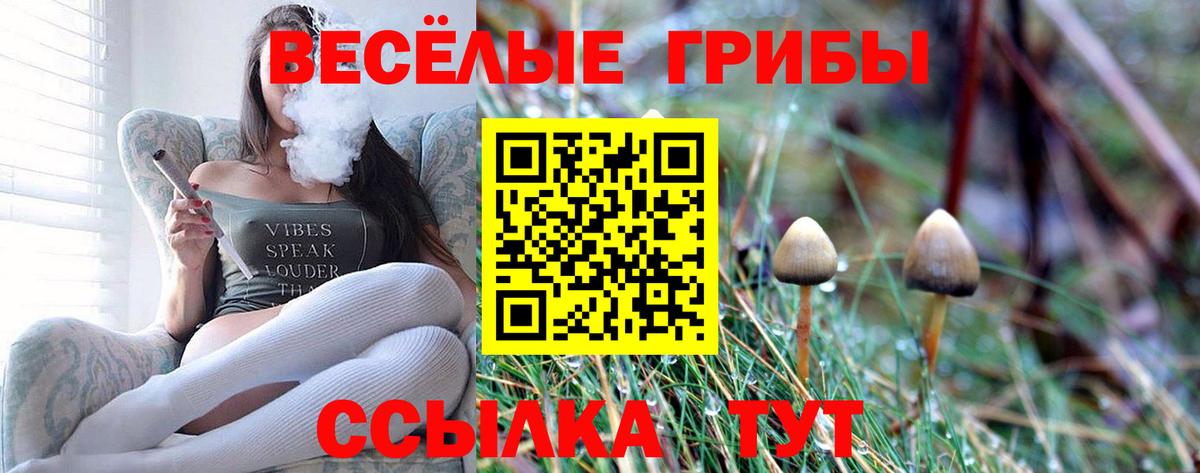 Юрга  Псилоцибиновые грибы прущие грибы  Вход с VPN  Псилоцибиновые грибы ЛСД 
