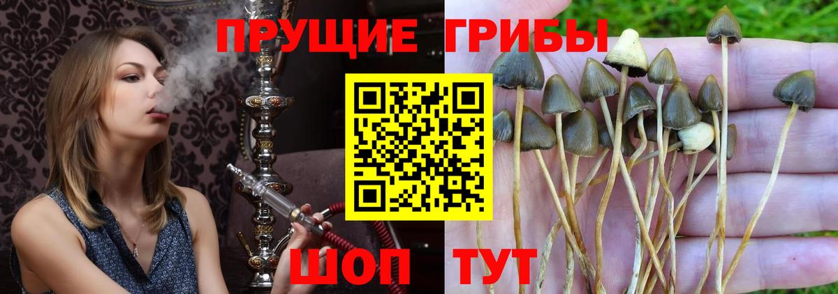 Галлюциногенные грибы ЛСД Юрга